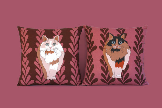 An homage to an exquisite species, the cat