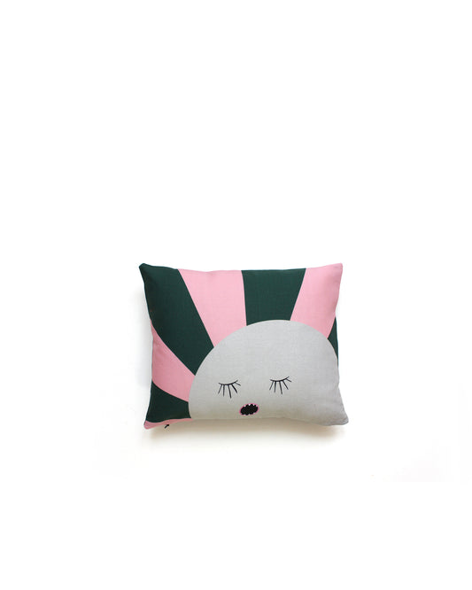 fun printed pillow - My Friend Paco