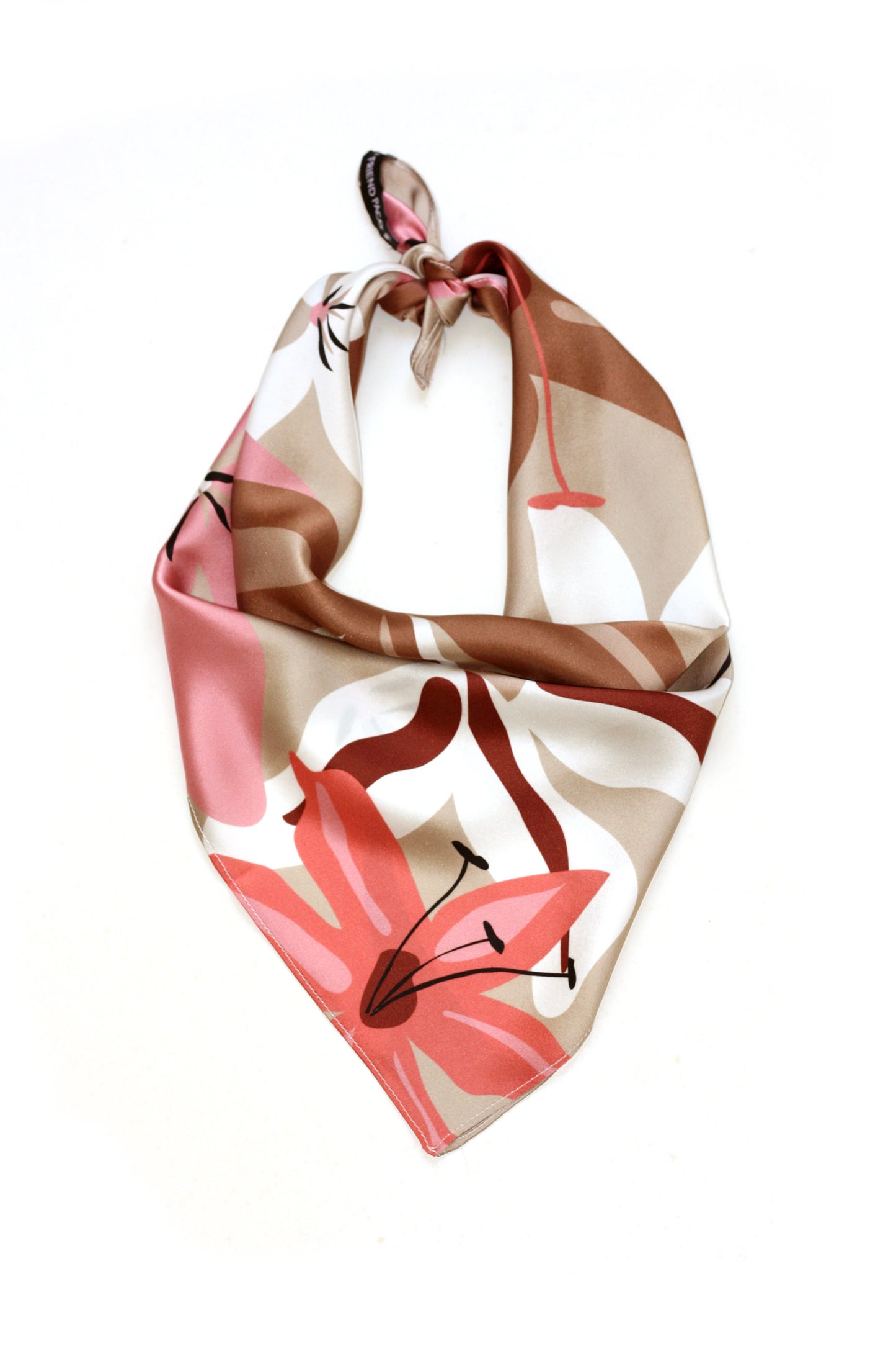 DALILA silk scarf designer cushions, silk scarfs, rugs and bags - My Friend Paco