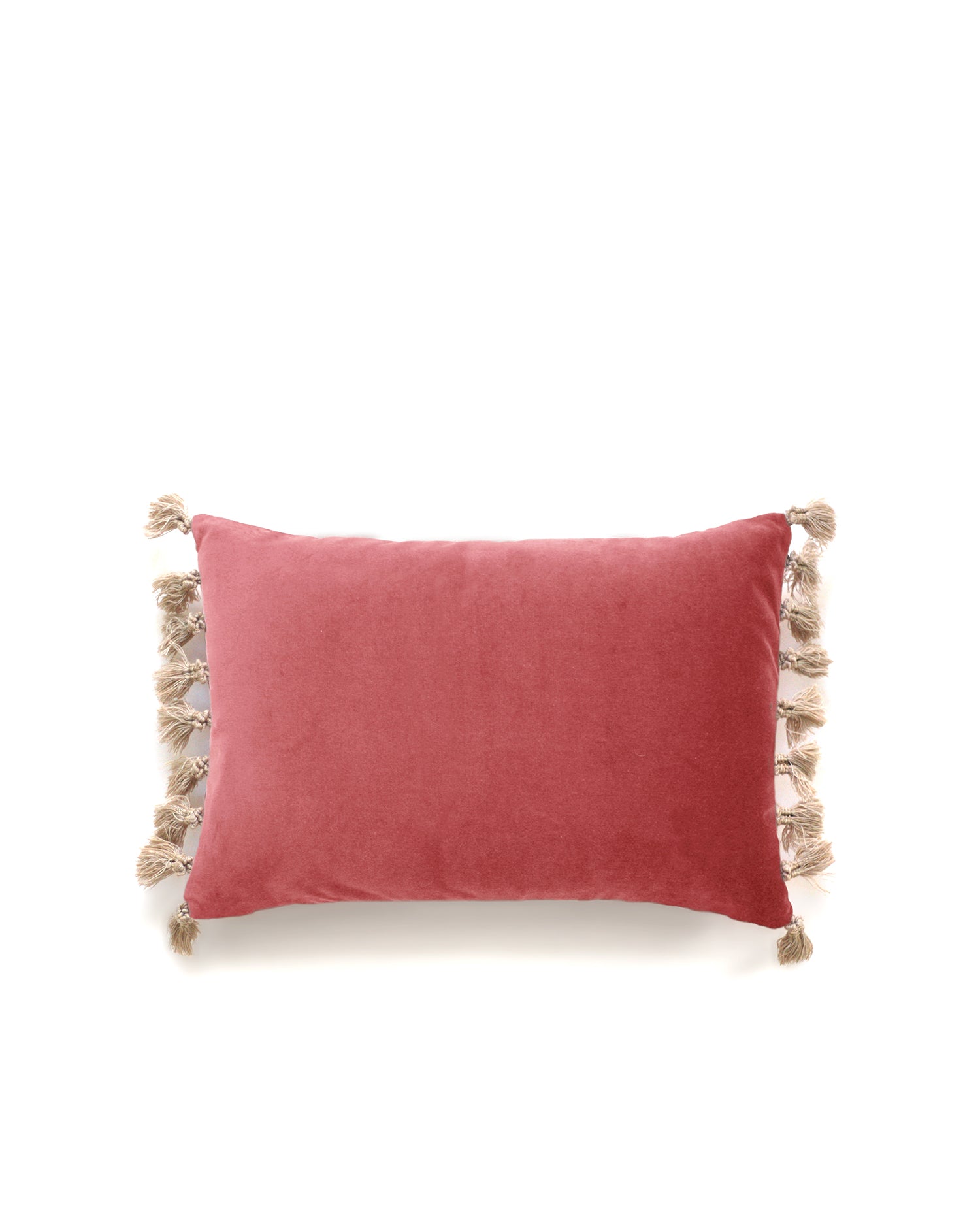 Blush velvet throw on sale pillow